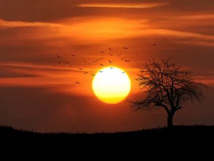 528 Hz Tuning Fork Healing Trauma: Affirmations + Theta