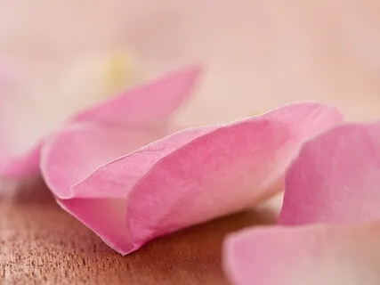 528 Hz Vocal Solfeggio Frequency Melodic Meditation