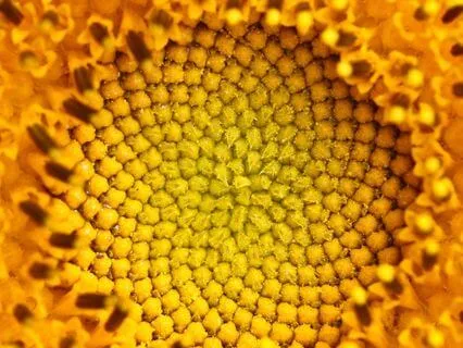 528Hz | 10 - Magnify:  Deep Voyage Reiki Massage Music