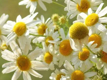 528Hz | 14 - Revelations: Deep Voyage Reiki Massage Music