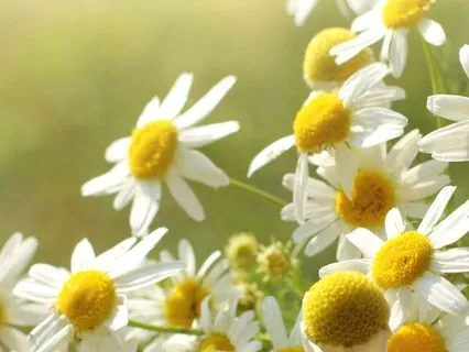 528Hz | 2 - Higher Self - Deep Voyage Reiki & Massage Music