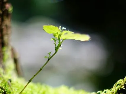 528Hz | 6 - Clear Vision - Deep Voyage Reiki & Massage