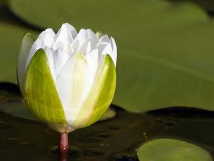 528 Hz | 7 - Insight: Deep Voyage  Reiki & Massage Music