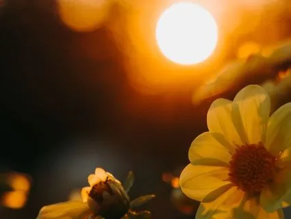 528Hz | 8 - Life's Interlude - Deep Voyage Massage Music