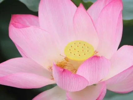 528Hz | 9 - Divine Intervention - Deep Voyage Massage Music