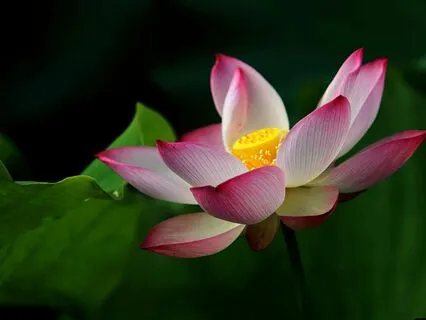 528 Hz Activate Self-Healing & Positive Transformation