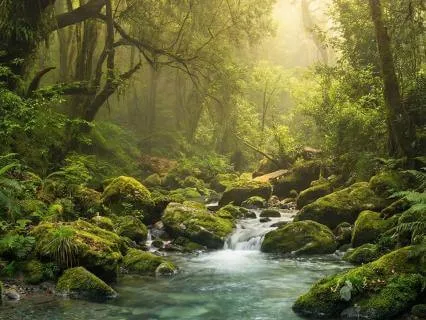 528 Hz Binaural Beats - Deep Sleep Music For DNA Repair