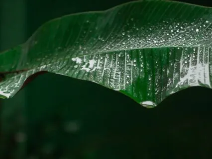 528 Hz Calm Sleep Music For Deep Love