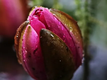 528Hz Cleanse Your Home