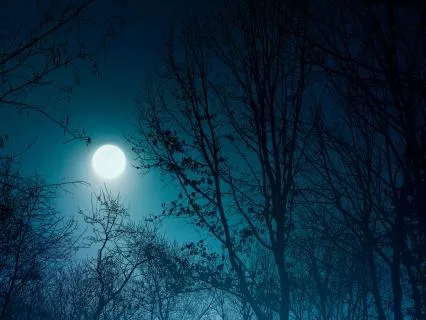 528Hz Deep Sleep Music 8 Hours