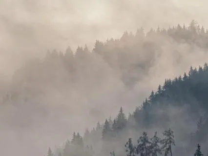 528Hz Deep Sleep: Tanpura, Nature & Brown Noise