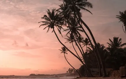 528HZ DNA Lightbody Activation(Sleep Meditation)