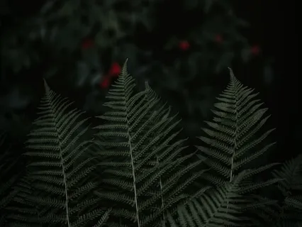 528Hz Energy Cleanse Yourself & Your Home