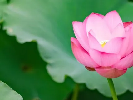 528 Hz | Grace - Deep Voyage Reiki & Massage Music