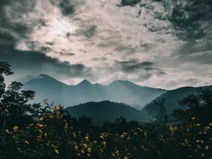 528Hz Healing Sleep Music & Angelic Choir