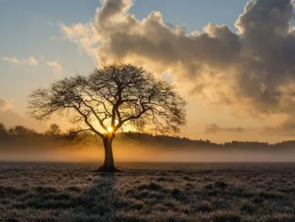 528Hz Healing Sounds - Stress Relief