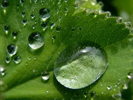 528Hz Healing Sounds | Theta Binaural & Isochronic | Rain 30