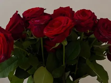 528Hz Heart Opening Subliminal: Connection & Flow