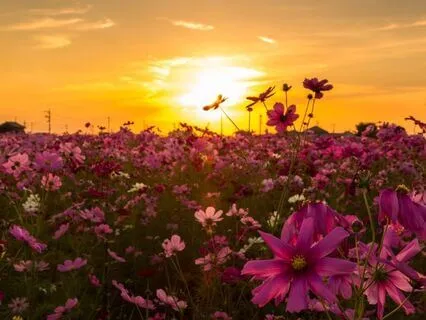 528 Hz | Letting Go - Reiki & Massage | Deep Voyage Series