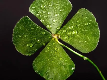 528Hz Lucky Subliminal: Manifest Good News & Miracles