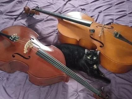 528Hz Meditation, Relaxing Cello.