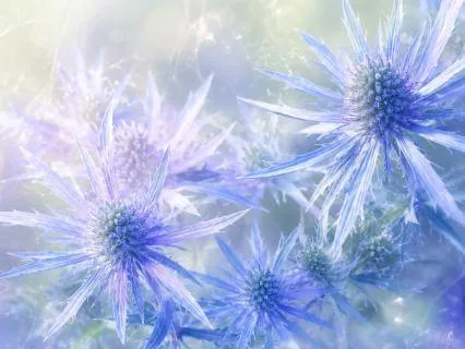 528Hz Miracle Frequency, A Soul Is Born