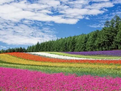 528 Hz Miracle Healing Energy, Frequency Cleanse Yourself