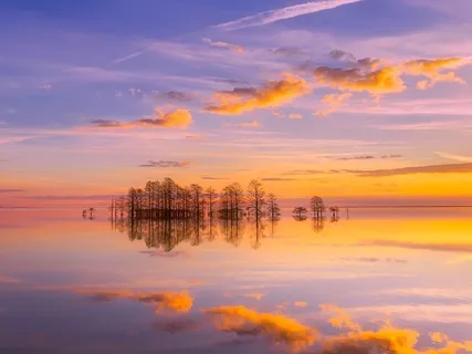 528Hz Miracle Tone - Powerful Meditation Music For Manifestation