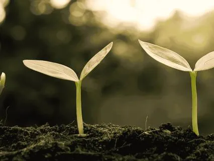 528Hz Money Subliminal: Manifest Unexpected Abundance