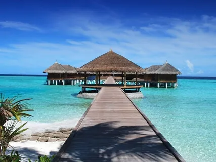 528Hz Music To Heal Your Soul