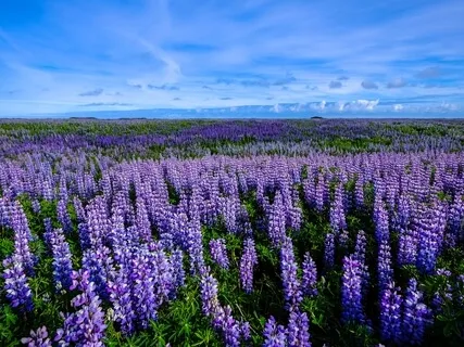 528Hz Positive Energy