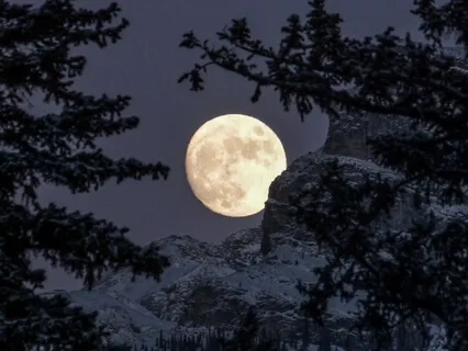 528Hz Positive Transformation & Raise Positive Vibrations