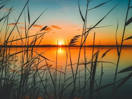 528Hz - Release Inner Struggle