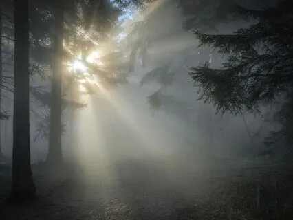 528 Hz Release Stress