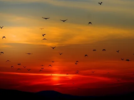 528Hz Release Your Trapped Emotions