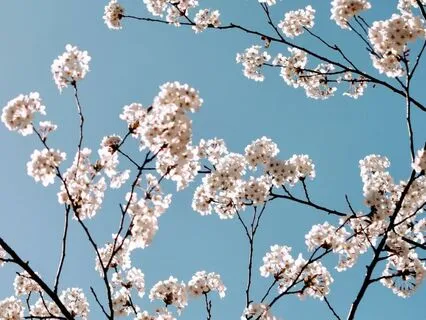 528 Hz | Renewal - Deep Voyage Reiki & Massage Music