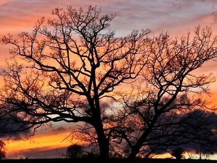 528Hz Sleep Angelic Voices Meditation