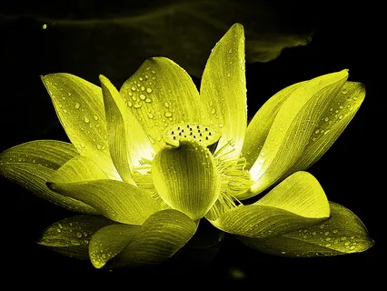 528Hz Solar Plexus Chakra Healing Music - Vol.2