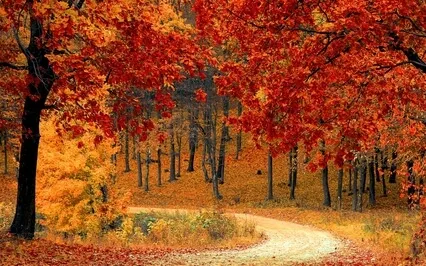 528Hz - Solar Plexus Chakra Healing - Strong Self Confidence