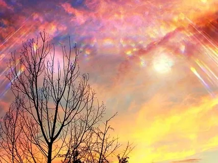 528hz Solfeggio Frequency Guided Healing Practice By Guy Ferdman