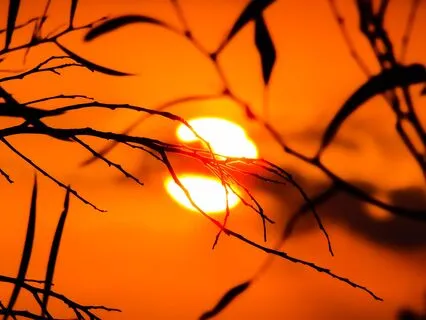 528Hz Solfeggio | Miracle Tone | Love Frequency