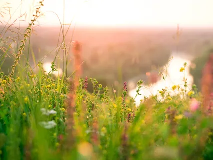 528Hz Solfeggio - Solar Plexus Chakra Healing Music