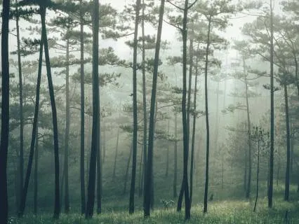 528Hz Soothing Calm