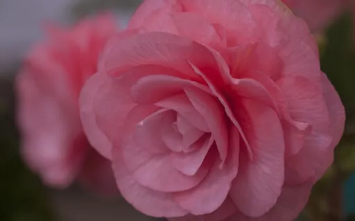 528Hz Stunner Iteration (Solfeggio Frequency)