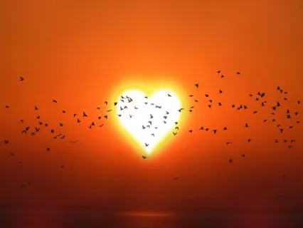 528 Hz Sunrise Meditation Music