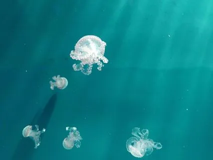 528hz - Teal - Ultimate Reiki & Massage | Deep Voyage Series