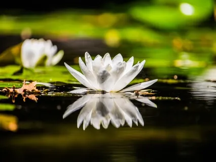 528Hz - Transforming Miracles