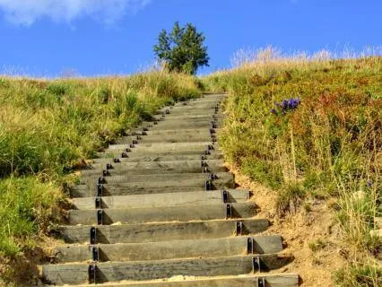 #53 : Contemplating Gradual Advancing : I Ching Wisdom