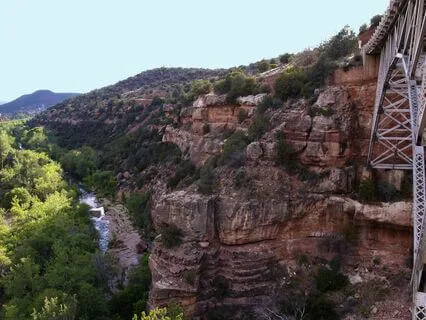 555 Wealth Peace Joy Prosperity And harmony Rebirthed