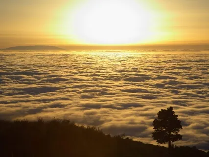 555Hz Key To Ascension